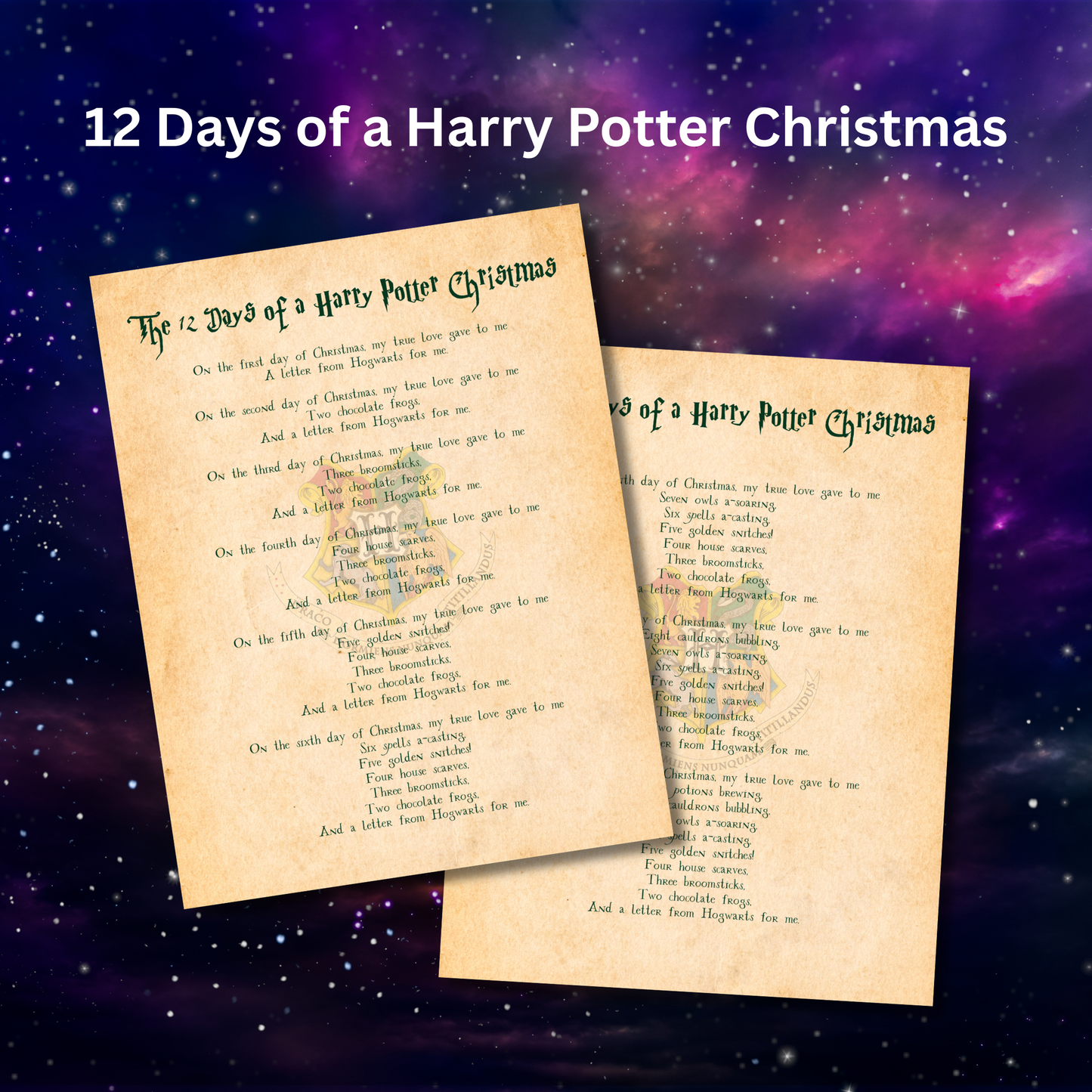 Printable 12 Days of Wizard Christmas gift tags with magical themed illustrations.