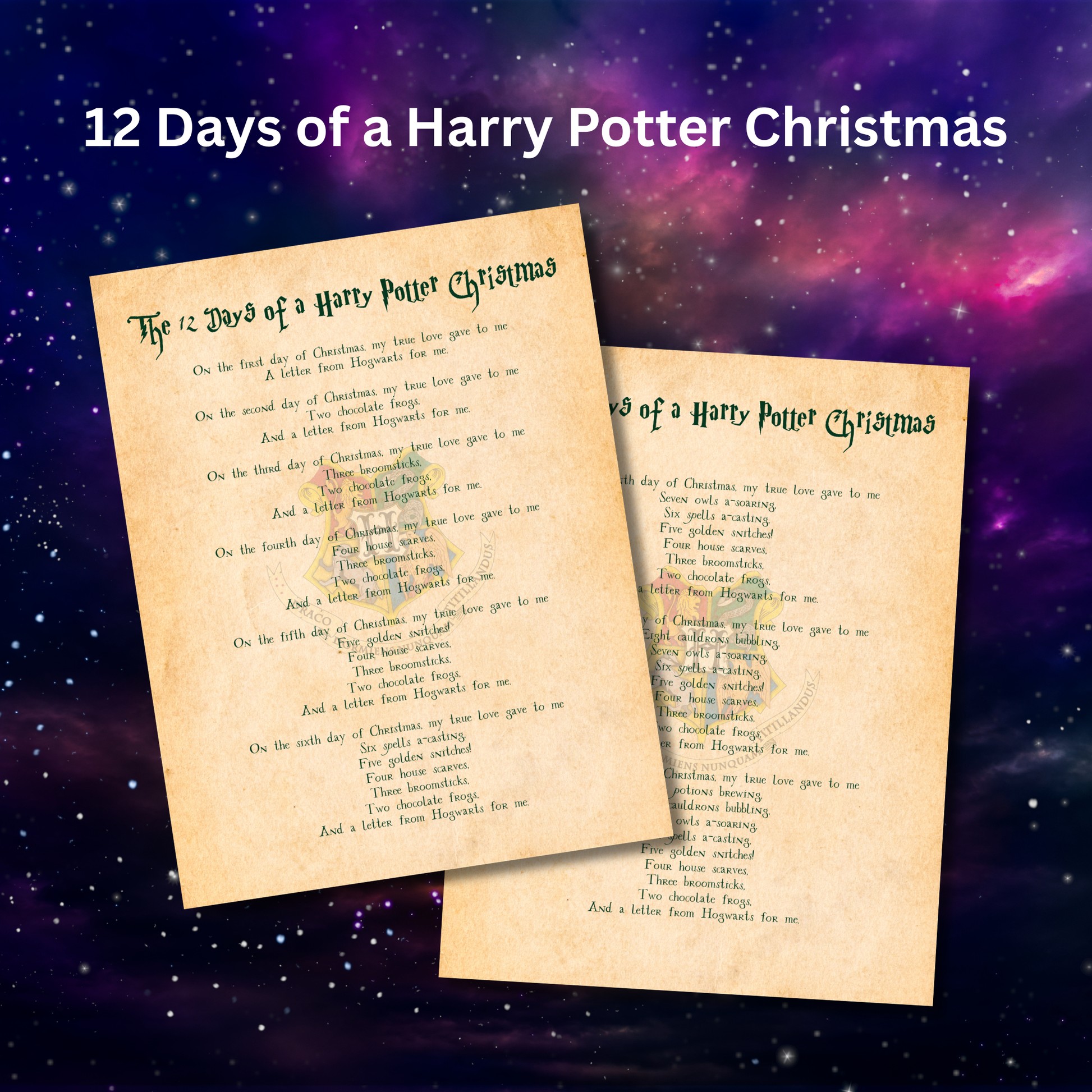 Printable 12 Days of Wizard Christmas gift tags with magical themed illustrations.