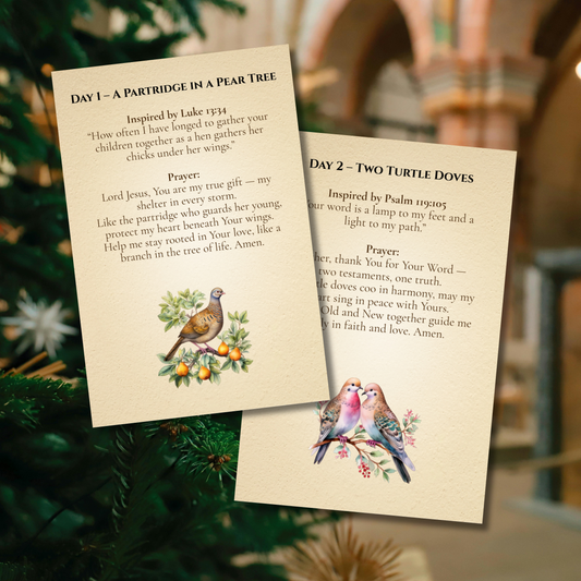 Printable 4x6 Christmas prayer cards for daily holiday devotion and family worship.