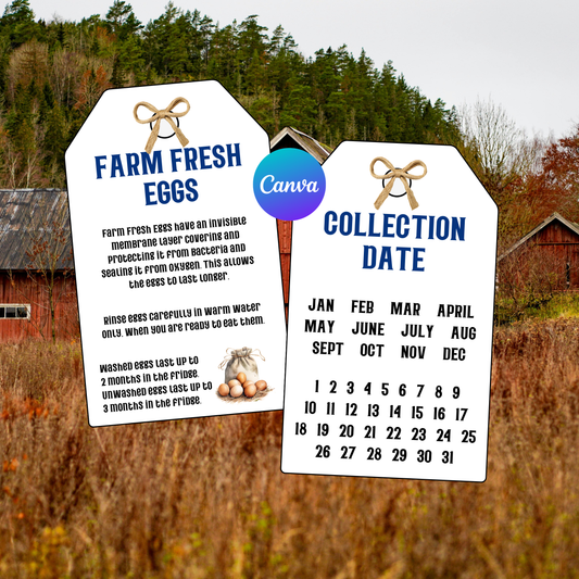 Farm Fresh Eggs Gift Tags Printable | Chicken Coop Labels | Rustic Egg Carton Tags | Editable Canva Template