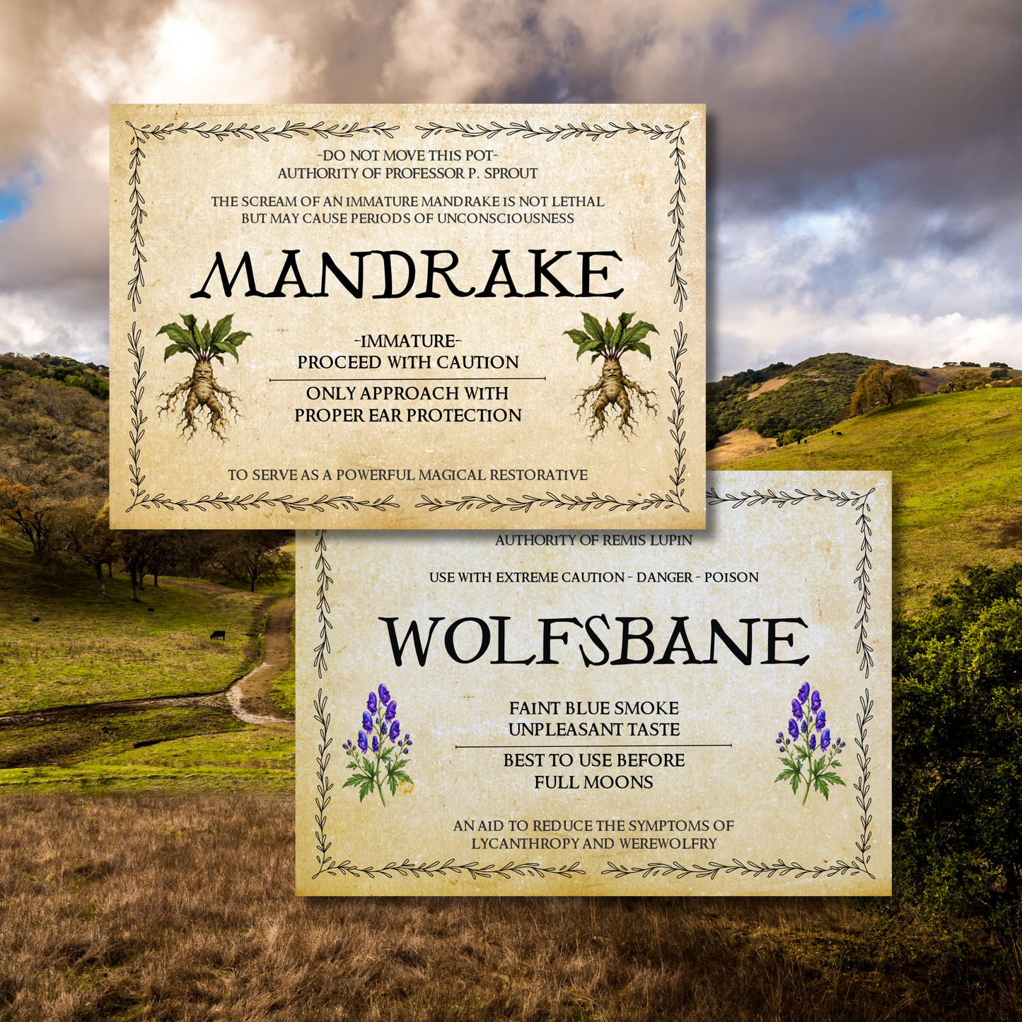 Wizard-Inspired Plant Labels | Set of 12 Printable 5x7 Garden Signs | Instant Download
