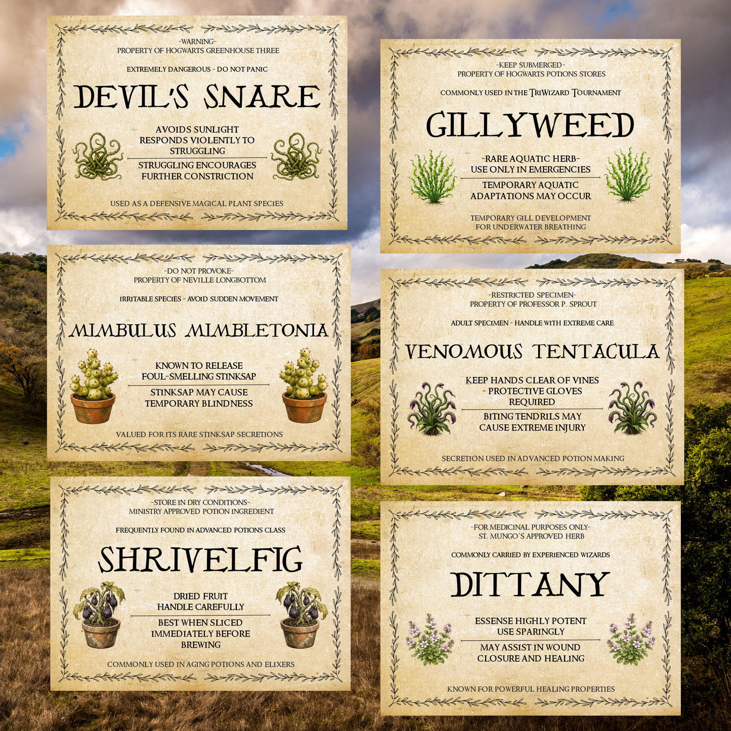 Wizard-Inspired Plant Labels | Set of 12 Printable 5x7 Garden Signs | Instant Download