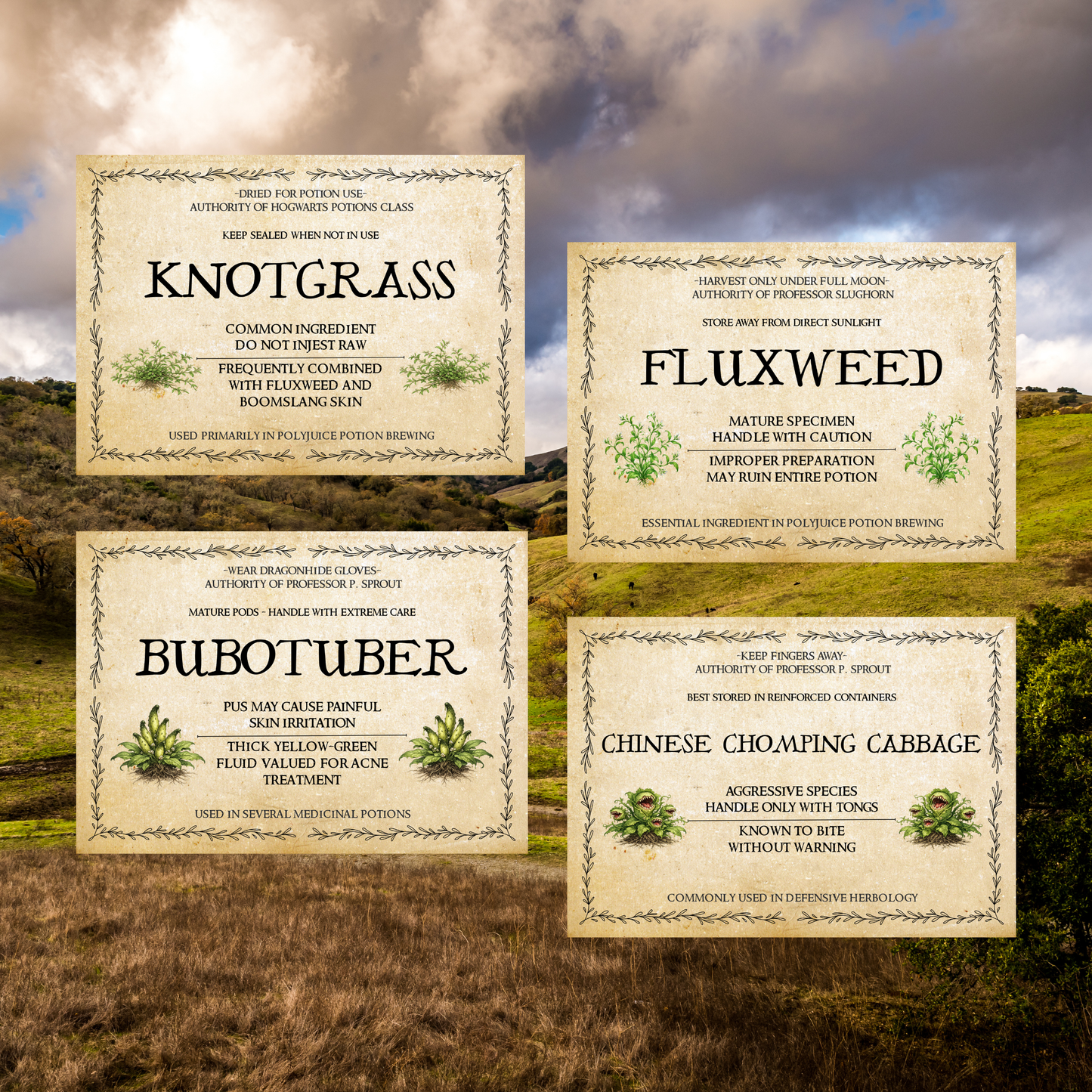 Wizard-Inspired Plant Labels | Set of 12 Printable 5x7 Garden Signs | Instant Download